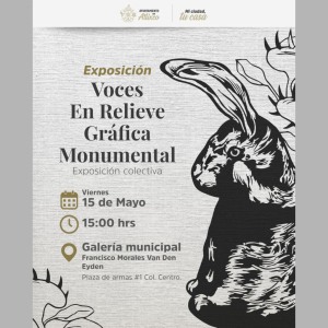 Voces en Relieve Gr�fica Monumental