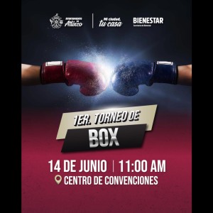 1er Torneo de Box