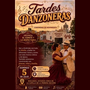 Tardes Danzoneras - Infonavit