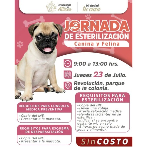 Jornada de Esterilizaci�n