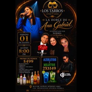La Doble de Ana Gabriel en Bar Los Tarros