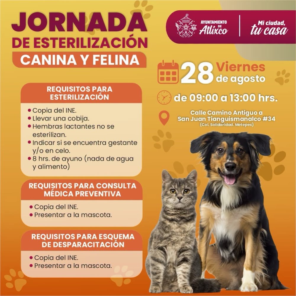 Jornada de Esterilizaci�n Canina y Felina en Metepec