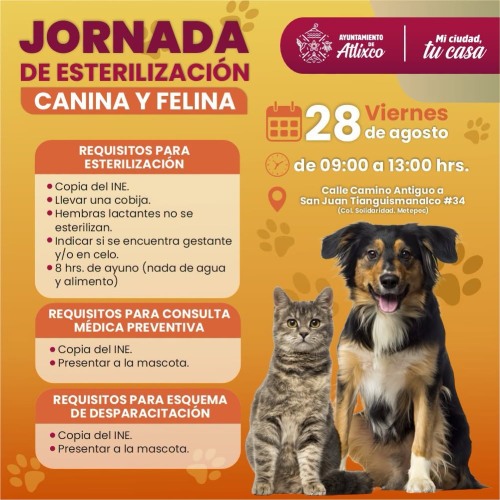 Jornada de Esterilizaci�n Canina y Felina en Metepec