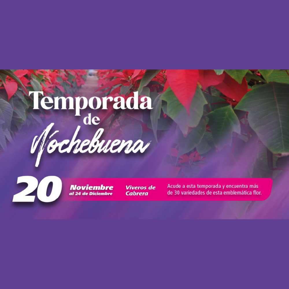 Temporada de Nochebuena 2026 en los Viveros de Cabrera