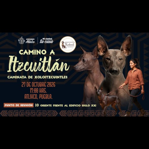 Camino a Itzcuitl�n: Caminata de Xoloitzcuintles