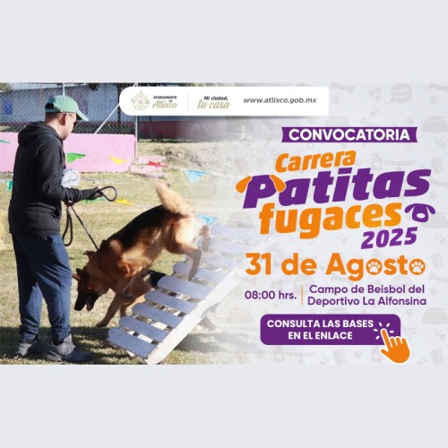 Carrera Patitas Fugaces 2025