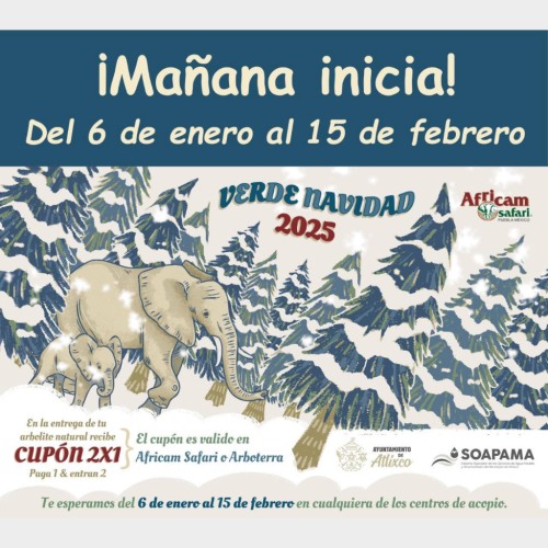 Centro de Acopio Arboles de Navidad