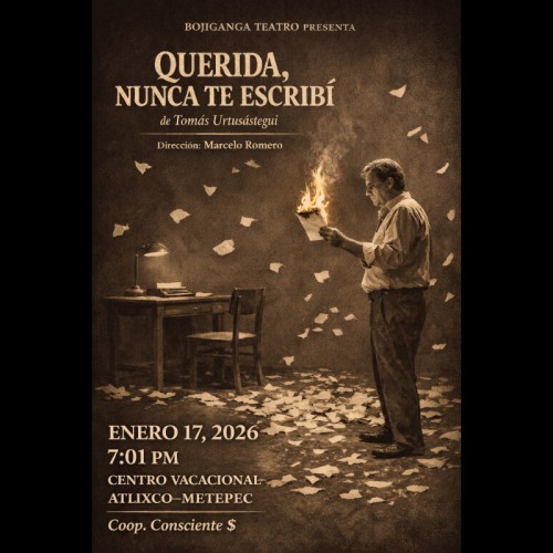 Querida, nunca te escrib�