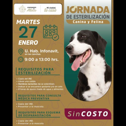 Jornada de Esterilizaci�n