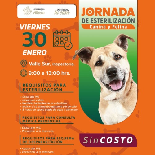 Jornada de Esterilizaci�n