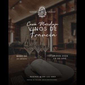 Maridaje Vinos de Francia