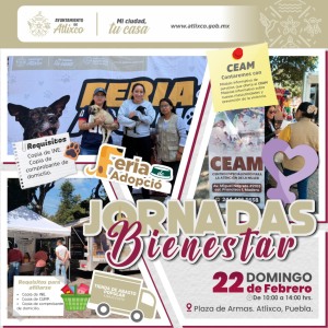 Jornada de Bienestar