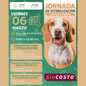 Jornada de Esterilizaci�n