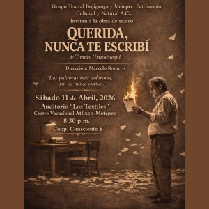 Querida, nunca te escrib�