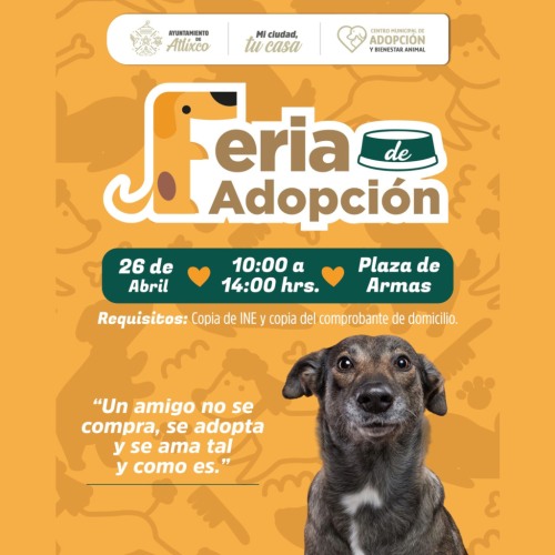 Feria de Adopci�n