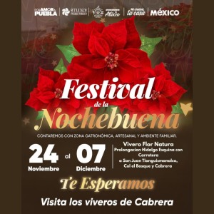 Festival de la Nochebuena