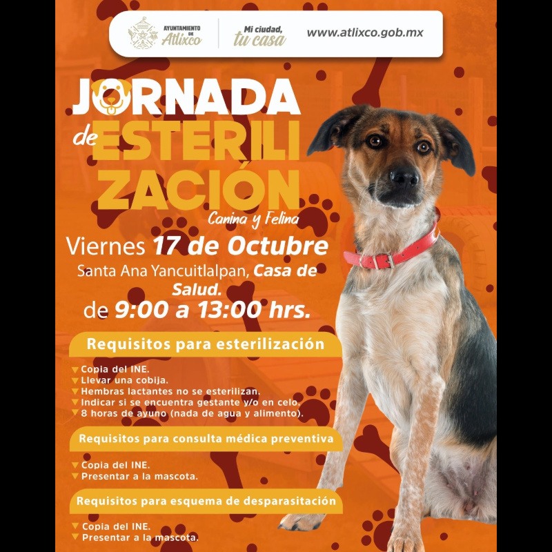 Jornada de Esterilizacin