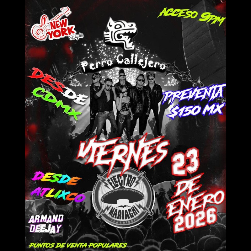 Perro Callejero - Electro Mariachi