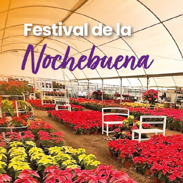 Festival de la Nochebuena