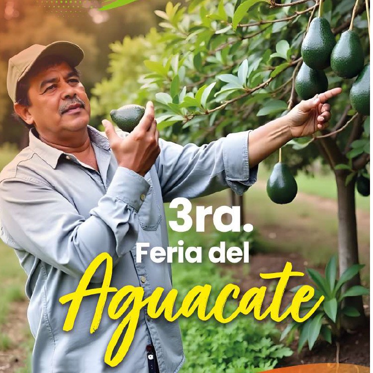 3era Feria del Aguacate